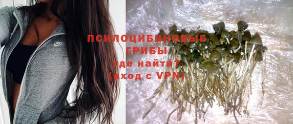 соль ск Аркадак